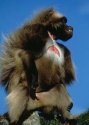 d�tail