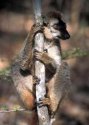 d�tail