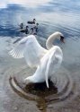 d�tail