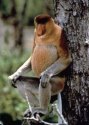 d�tail