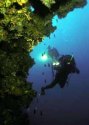 d�tail