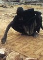 d�tail