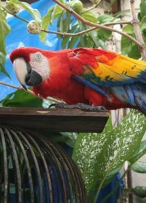 NICARAGUA (PART 2)