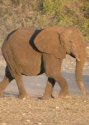 d�tail