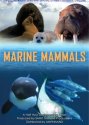 d�tail